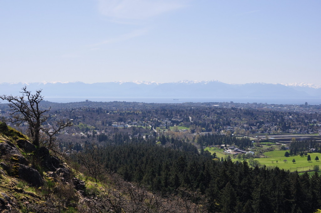 DSC_0691